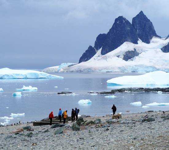 Sæler og Zodiac på Antarktis