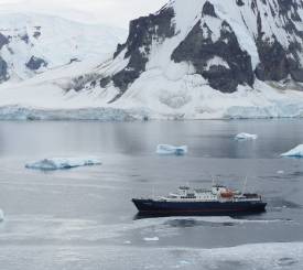 Hvalspotting i Antarktis