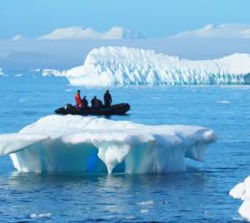 Zodiac-båd ved Antarktis