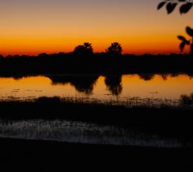 Solnedgang Botswana