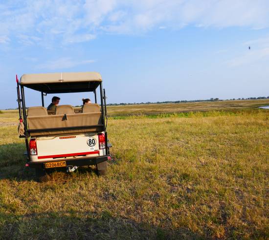 Jeepsafari i Botswana