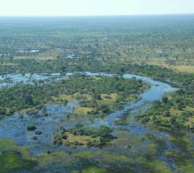 Fly over Okavanga delta