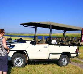 Jeepsafari i Chobe