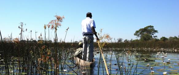 Mokoro sejlads i Okavango delta