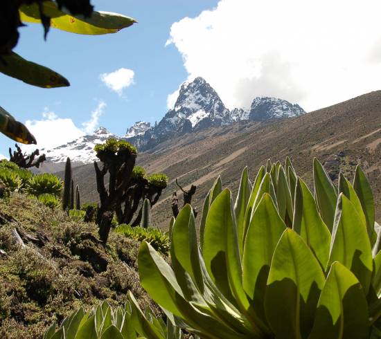 Mount Kenya trek Old Moses Camp 3.300 meter.