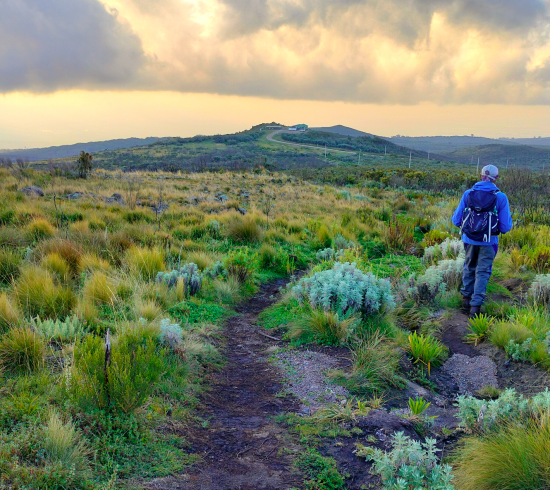 Judmeier Camp - Liki north Mount Kenya