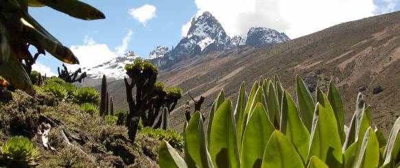 Mount Kenya trek Old Moses Camp 3.300 meter.
