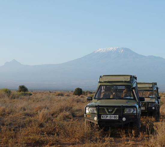 Safari i Kenya safarirejse