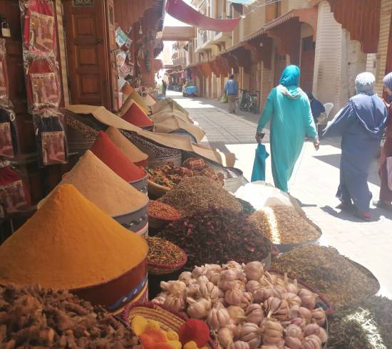 Hele dagen til at udforske Marrakech