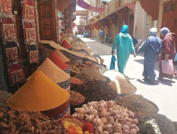 Top Bestigning rejse Toubkal