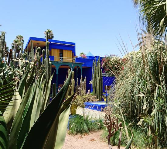 Hele dagen til at udforske Marrakech