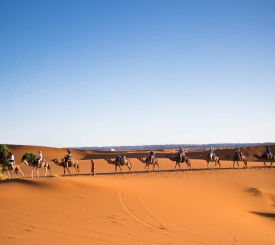 Sahara og ørkenrejse Marokko