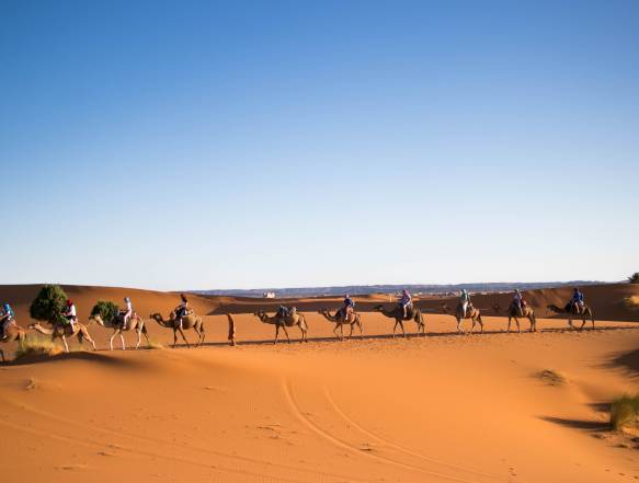 Sahara og ørkenrejse Marokko