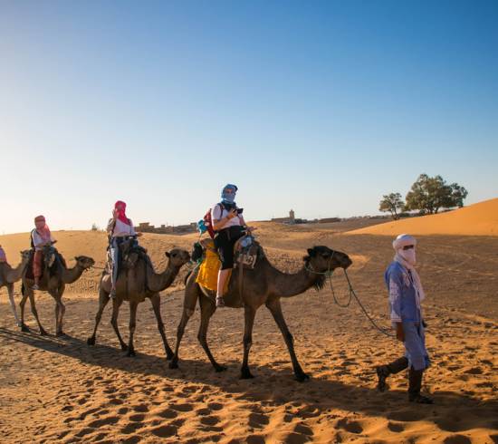 Kamelridning i Sahara