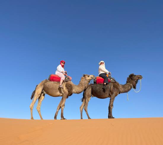 Kamelridning i Sahara