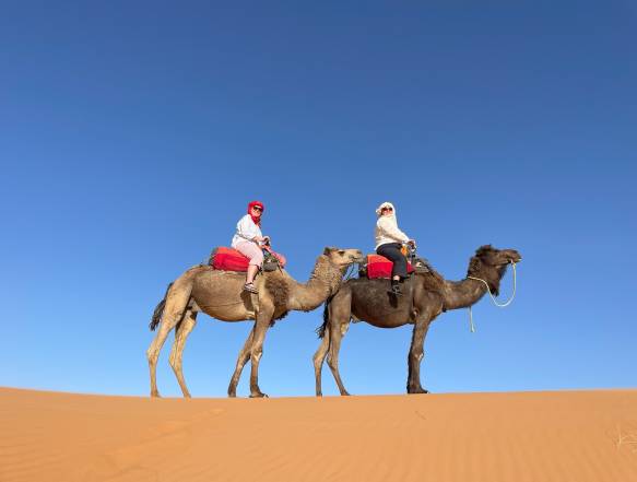 Kamelridning i Sahara