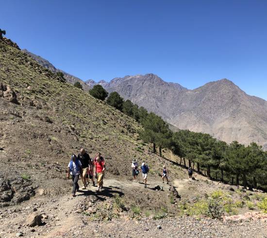 Toubkal til Imlil og Marrakech