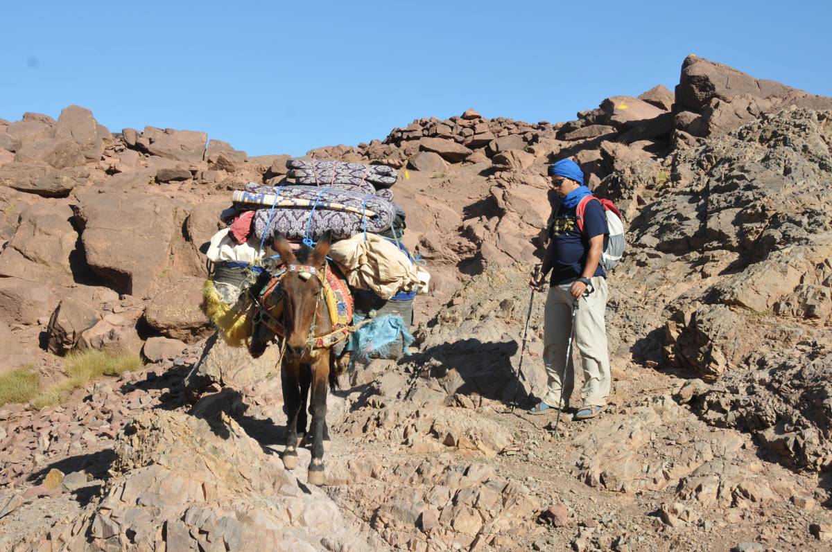 Toubkal trek