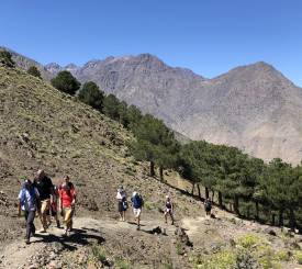 Let vandretur fra Imlil til berberlandsbye