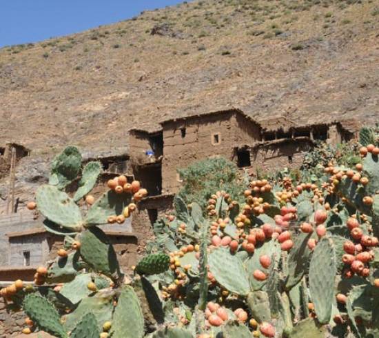 Inmamedalen-paa-Toubkal-trekket