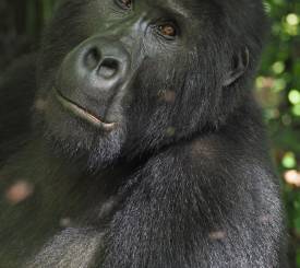 Dag 1