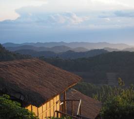 Bwindi, Ugandas gorilla-højland