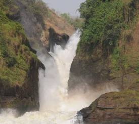 Næsehorn i Ziwa Rhino Sanctuary og Murchison Falls