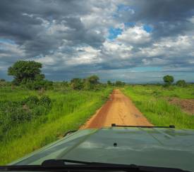 Murchinson Falls til Hoima og Fort Portal