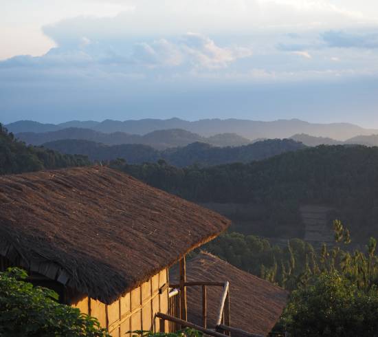 Bwindi, Ugandas gorilla-højland