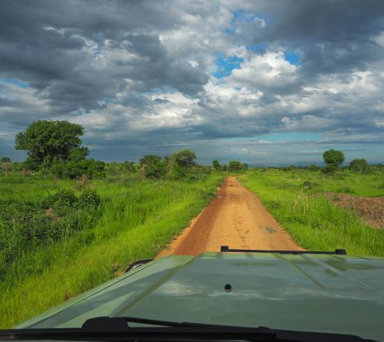 Murchinson Falls til Hoima og Fort Portal