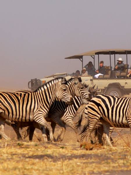 Cape Town - Botswana og Victoria Falls
