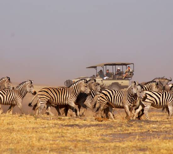 Botswana - safari ved Chobe i Kazuma Forest Reserve
