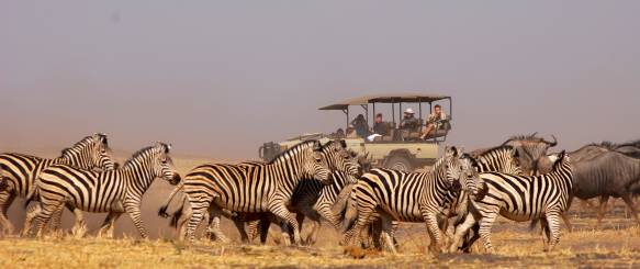 Botswana - safari ved Chobe i Kazuma Forest Reserve