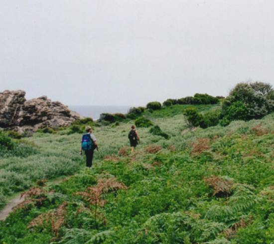 Sydafrika Dolphintrail