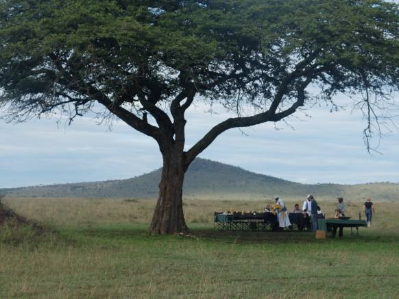 Champagnebrunch på sletten