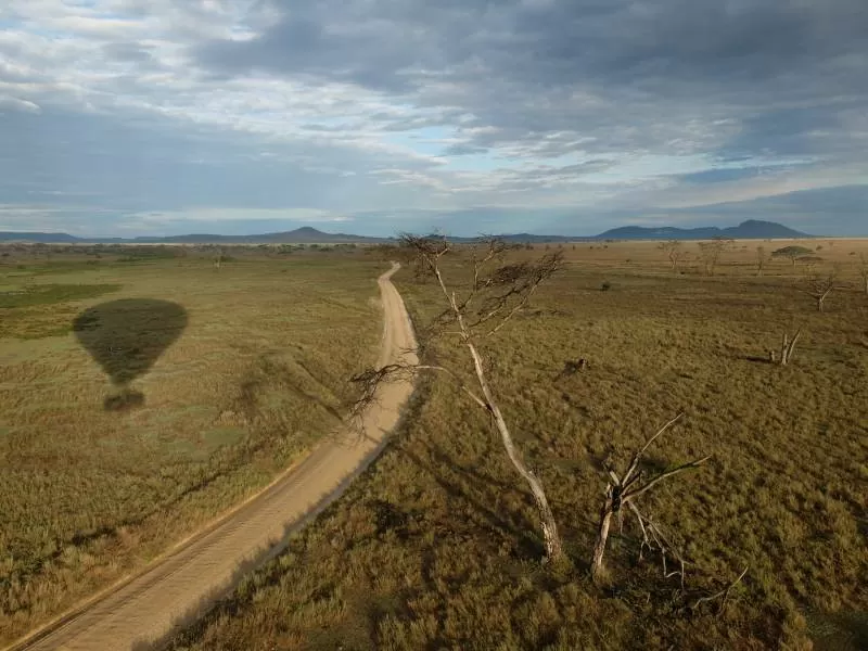 Oplev safari fra Jeep på Tanzanias smukke savanner