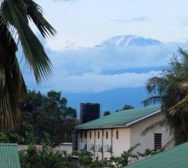 Moshi ved Kilimanjaros fod