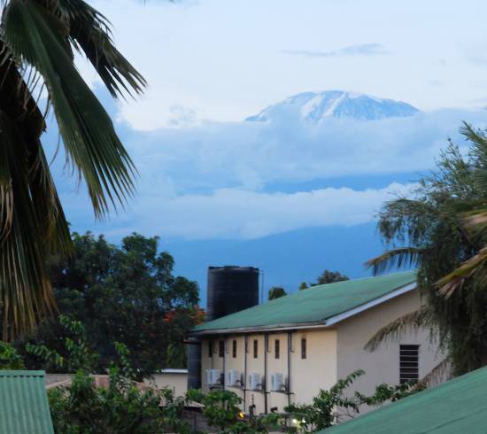 Moshi ved Kilimanjaros fod