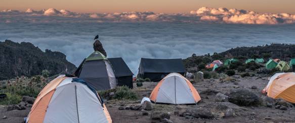 Ind mod Northern Circuit trekket