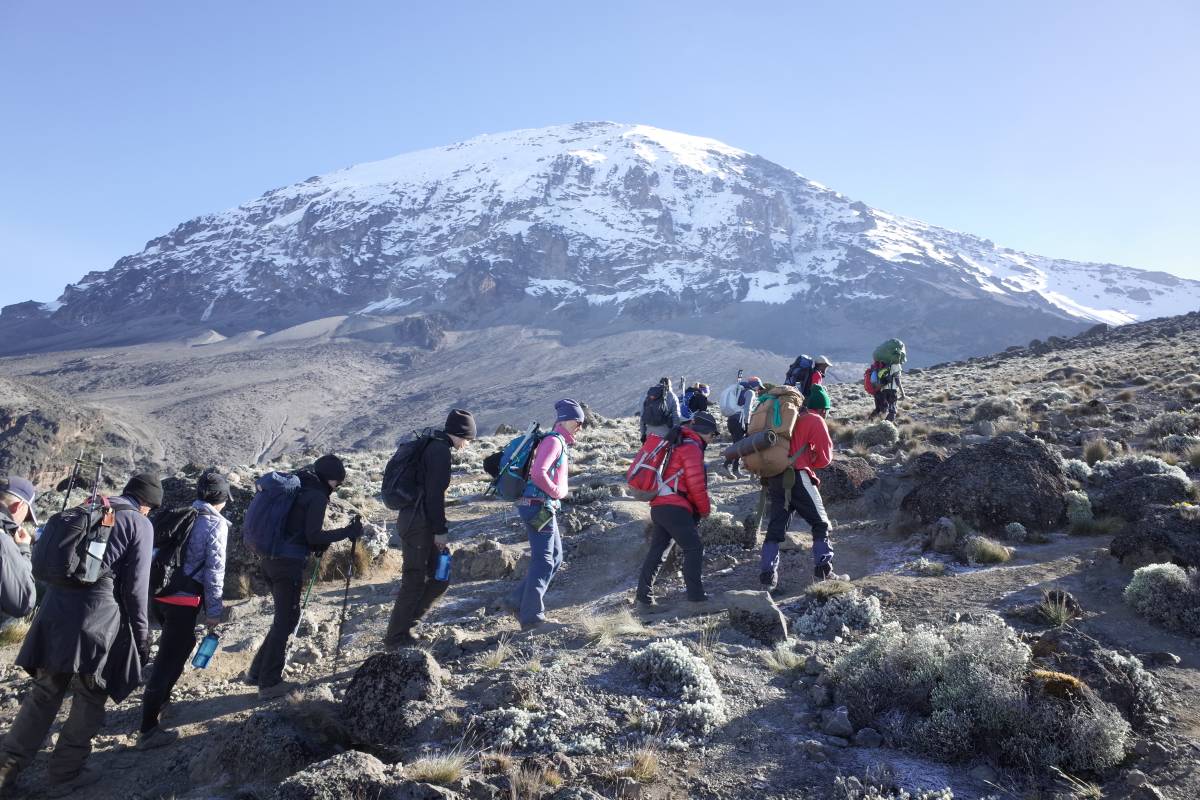 Kilimanjaro grupperejse
