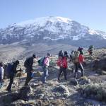 Kilimanjaro grupperejse