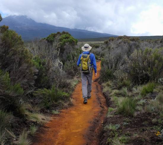 Nationalpark-gaten Mweka og Moshi
