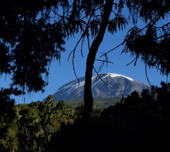 Kilimanjaro-rejse Lomosho vandring
