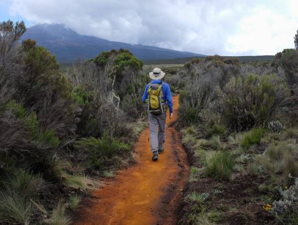 Nationalpark-gaten Mweka og Moshi
