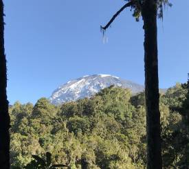 Kilimanjarotrekking