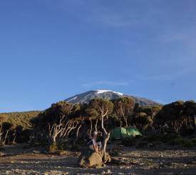 Nationalpark-gaten Mweka og Moshi