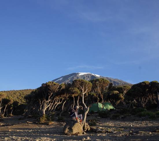 Nationalpark-gaten Mweka og Moshi