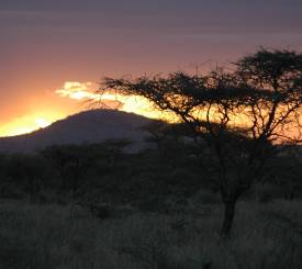 Viktoriasøen til Serengeti