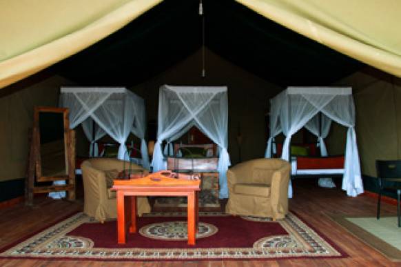 Serengeti - hvor er dyrene?