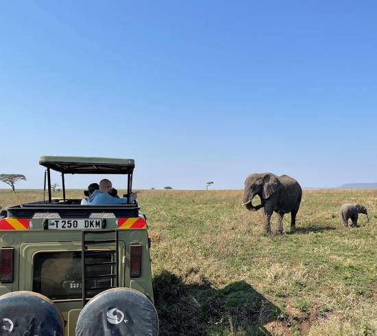 loever-paa-serengeti